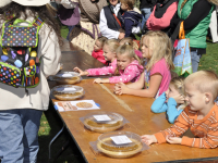 gluten free pumpkin pie eating contest