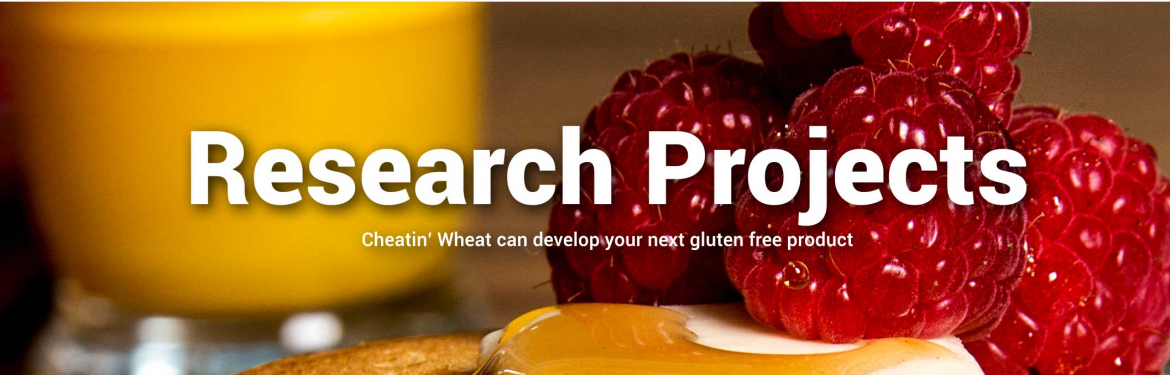 Gluten Free Product Research 