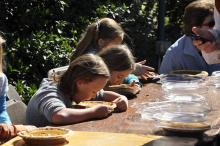 Cel-Kids gluten free pumpkin pie eating contest