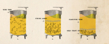 wine fining illustration