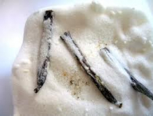 vanilla bean pods in sugar