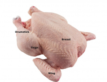 whole chicken with labeled parts